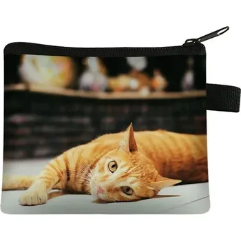 Dětská peněženka s motivem kočky - 09