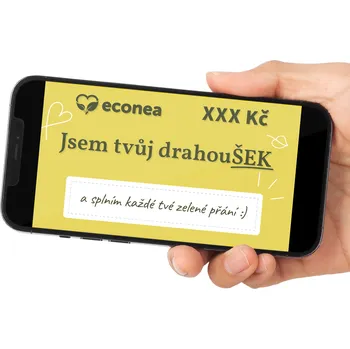 Dárkový potravinový koš DrahouŠEK - Elektronický dárkový poukaz1000 Kč