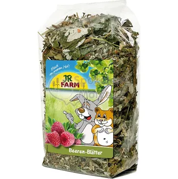 Krmivo pro hlodavce JR Farm GmbH JR Farm ovocné listy 100 g