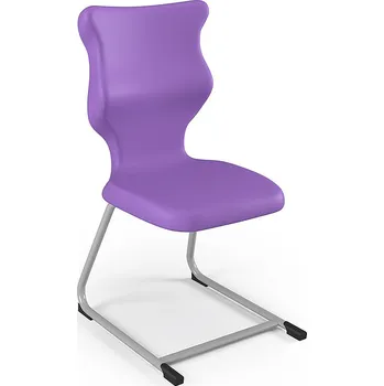 Entelo Židle C-Line velikost 6, Fialová/Šedá