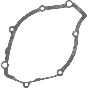 Těsnění motoru Těsnění víka zapalování WINDEROSA ICG 816098