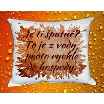 Dekorativní polštářek Polštář Je ti špatně ? To je z vody, proto rychle do hospody III