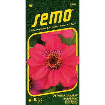 Semeno Ostálka marylandská Zahara Raspberry (tmavě růžová)
