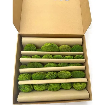 umělá květina Stabilizovaný mech, mini ball moss světle zelený