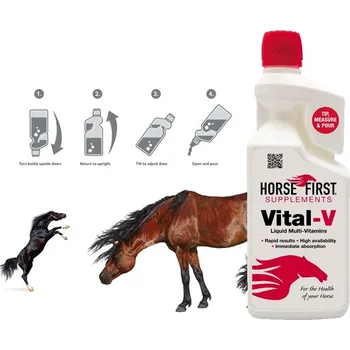 Horse First Vital - V, vitamíny pro koně