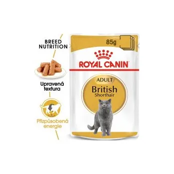 Krmivo pro kočku Royal Canin kapsička British Shorhair 12 x 85 g