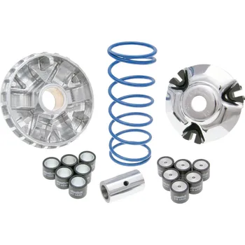 Motor pro motocykl Polini Variátor Maxi Hi-Speed Sym 125 P.33601