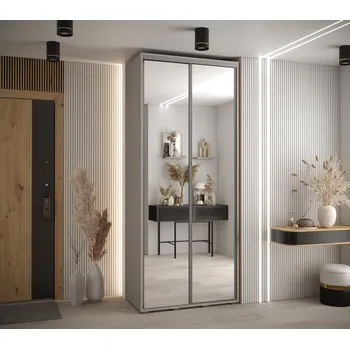 Šatní skříň Šatní skříň Dakota 2 - hloubka 45 cm Rozměry: 100 cm, Pásky / úchyty: Stříbrné, Barva korpusu + barva dveří: Kašmír + zrcadlo