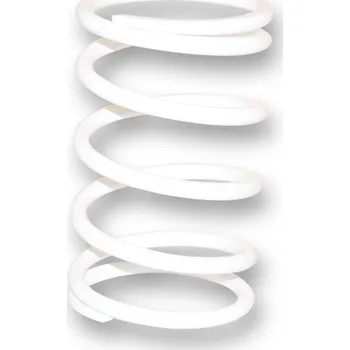 Motor pro motocykl Malossi Kontrastní pružina Xciting 400 2916113.W0