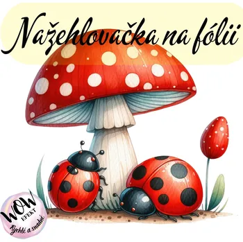 Nažehlovačky na fólii Nažehlovačka na fólii, BERUŠKY a mochomůrka, 6,5x6,8cm /ks