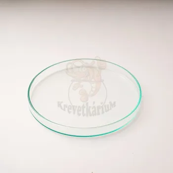 Krmítko pro ryby Krmící miska pro krevetky 10 cm