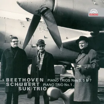 Zahraniční hudba Beethoven & Schubert: Piano Trios - 2CD
