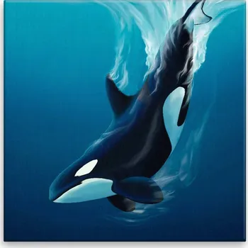 Obraz Obraz na plátně - Kosatka - 40x40 cm - CZ výroba