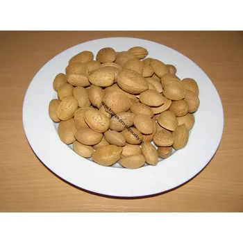 Krmivo pro ptáka Manitoba Mandle 10 kg