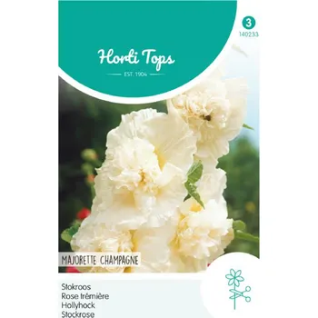 Semeno Semena - Topolovka růžová (slézová růže) ´MAJORETTE CHAMPAGNE´