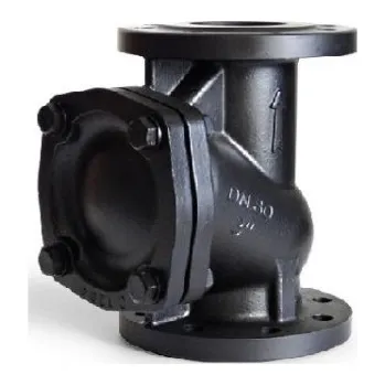 Čerpadlo DRENO Kalová zpětná klapka přírubová DN 80 10011719