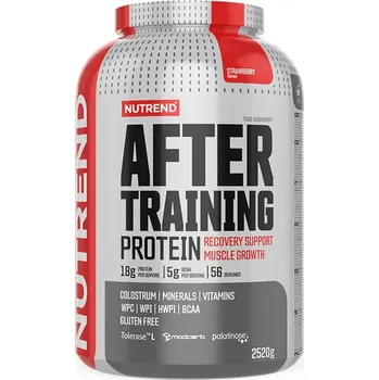Protein Nutrend AFTER TRAINING PROTEIN, 45 g, vanilka