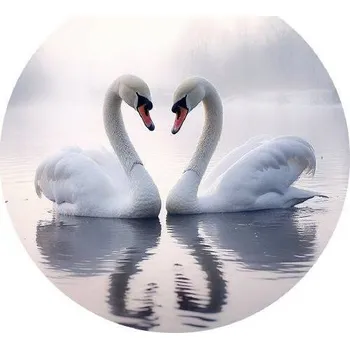 Jedlá dekorace na dort Jedlý papír dvě labutě 19,5cm - PICTURE