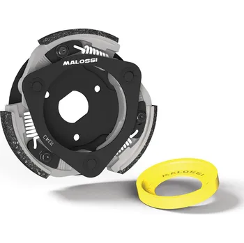 Spojka Malossi Maxi Delta Clutch, Honda Forza 125 ccm M5217040