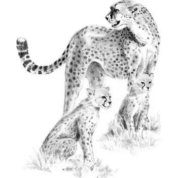 omalovánky Malování SKICOVACÍMI TUŽKAMI- Gepardí rodinka