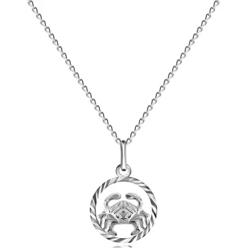 Řetízek Lesklý stříbrný 925 řetízek a přívěsek znamení RAK