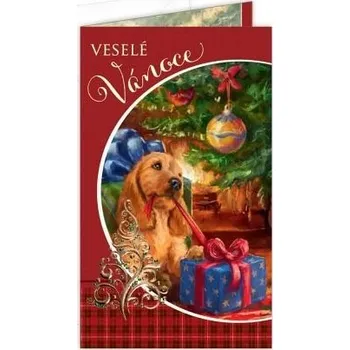 ARGUS Vánoční přání 11-6230-2stc