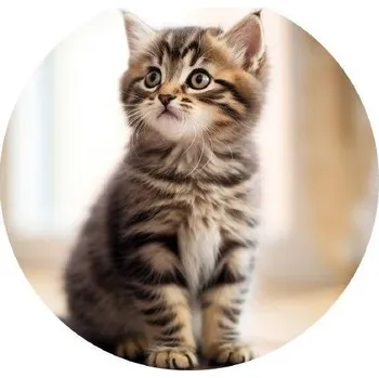 Přisada na vaření a pečení Jedlý papír mourované koťátko 19,5cm - PICTURE