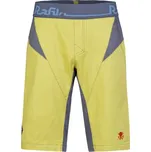 Pánské kraťasy Rafiki Anuk cress green/ink S