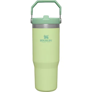 STANLEY 1913 IceFlow Flip Straw Tumbler 890 ml, Citron