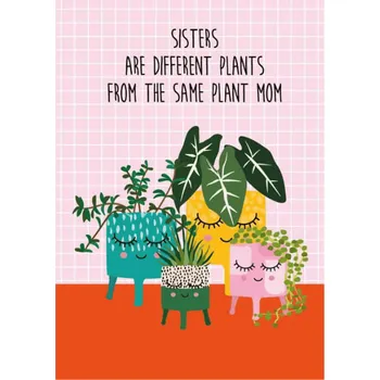 Pohled Plant sisters, 1 ks