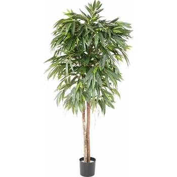 umělá květina Umělý strom Ficus longifolia - přírodní kmeny, 180cm