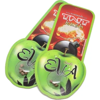 Semeno Tnt Kush – feminizovaná semena | Eva Seeds Feminized (Ks): 3 + 1 Zdarma