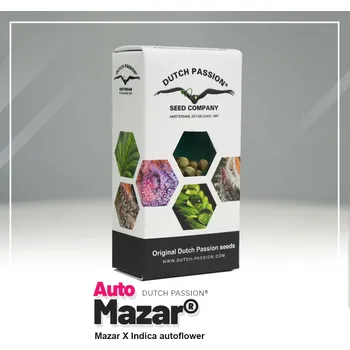 Semeno Mazar® AUTO – samonakvétací semena | Dutch Passion Feminized (Ks): 3 + 1 Zdarma