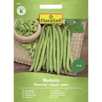 Semeno Fazole keříčková Modesto FloraSelf