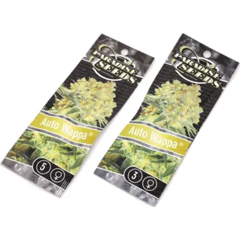 Semeno Wappa AUTO – samonakvétací semena | Paradise Seeds Feminized (Ks): 3