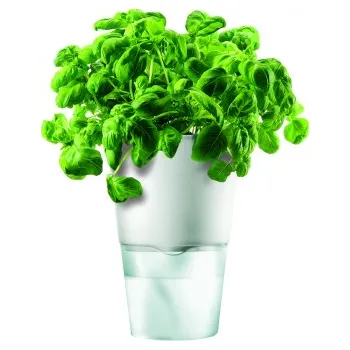 Květináč Samozavlažovací květináč na bylinky křídově bílý