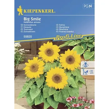 Zahrada Slunečnice Big Smile Kiepenkerl