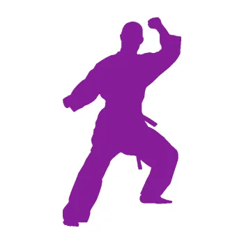 Polep vozidla Karate 014 levá (14 - fialová) SAMOLEPKA NA AUTO, NÁLEPKA, FÓLIE, POLEP, TUNING, VLASTNÍ TEXT, TISK, AUTOSAMOLEPKY.cz, POLEPY, OBRÁZEK, LOGO, 3D STICKERS