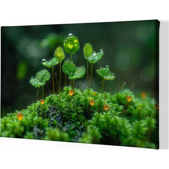 Obraz Obraz na plátně - Květinový lesík deštěm zkropený FeelHappy.cz Velikost obrazu: 40 x 30 cm