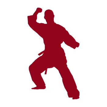 Polep vozidla Karate 014 pravá (07 - bordó vínová) SAMOLEPKA NA AUTO, NÁLEPKA, FÓLIE, POLEP, TUNING, VLASTNÍ TEXT, TISK, AUTOSAMOLEPKY.cz, POLEPY, OBRÁZEK, LOGO, 3D STICKERS