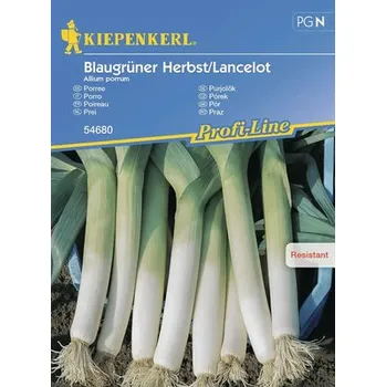 Zahrada Pórek Lancelot Kiepenkerl