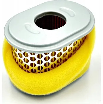 Příslušenství pro zahradní traktor Briggs&Stratton vzduchový filtr 590601