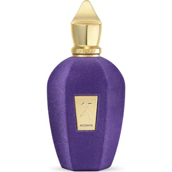 Xerjoff V Accento Parfemovaná voda 100ml, unisex