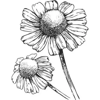 Drogerie Heřmánkový olej 100% Alteya Organics 5 ml