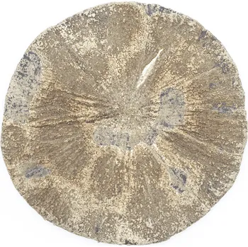 Přírodní kámen Milujeme Kameny Pyritové slunce - broušený kámen PP6 420579