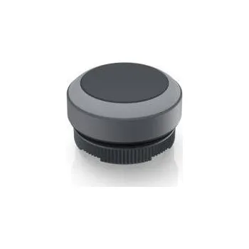 RAFI RAFIX 22 FS, 1.30.270.001/0108 tlačítko, 22.3 mm, 1 ks