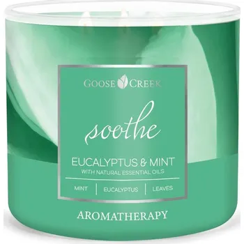 Svíčka Goose Creek Candle svíčka Aromatherapy Eucalyptus & Mint, 411 g