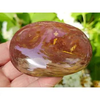 Přírodní kámen Zkamenělé dřevo hladký kámen 141g (Madagaskar)