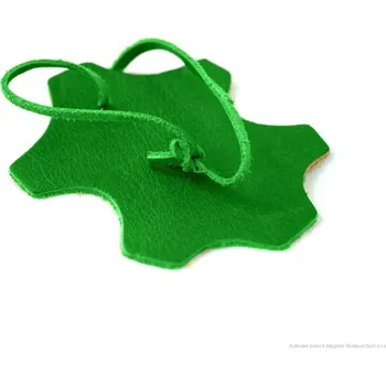 Speciální výtvarná barva Samson Kamnik Barva na kůži Vybrat druh: zelená