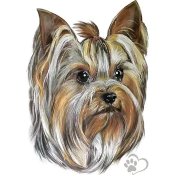 Samolepicí dekorace na vozidlo Avisa Samolepka psa na auto - Jorkšírský teriér -